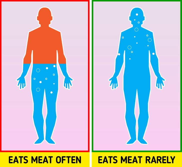 What Happens in Your Body If You Eat Too Much Meat Habits & Routines