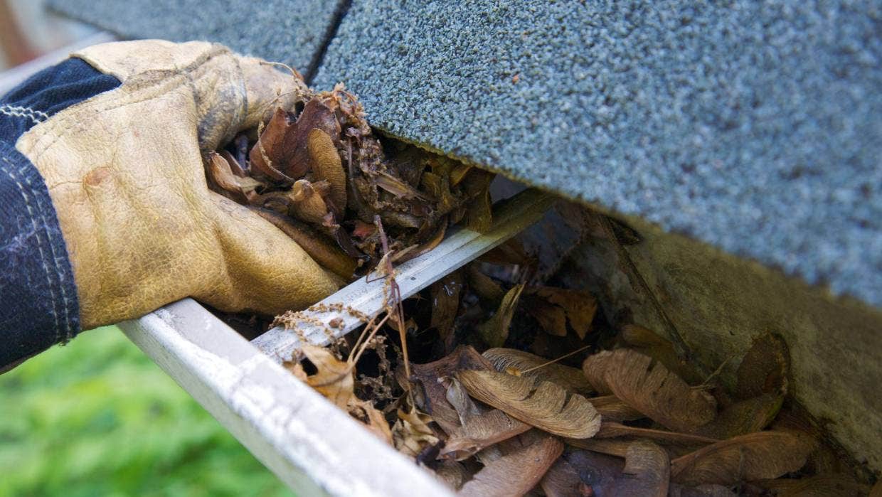 Overflowing Gutters