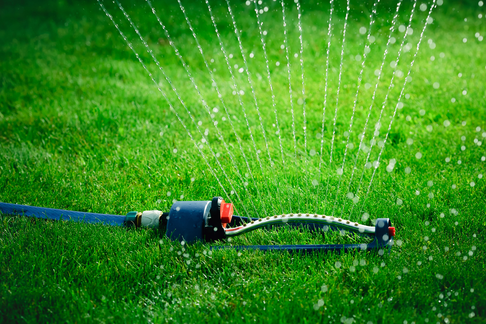 Green Lawn Tips to Keep it Thriving Year-round – Habits & Routines