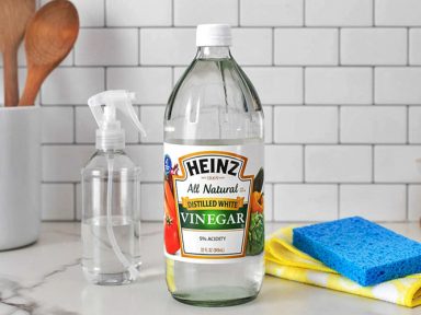 Why Wet Toilet Paper is No Longer Recommended – Habits & Routines